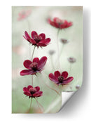 El vaivén del cosmos - Mandy Disher | Cuadro decorativo de Canvas Lab