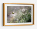 Mariposa del rocío matutino - Anna Cseresnjes | Cuadro decorativo de Canvas Lab