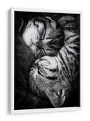 Gatitos durmiendo plácidamente - Andrea Jancova | Cuadro decorativo de Canvas Lab