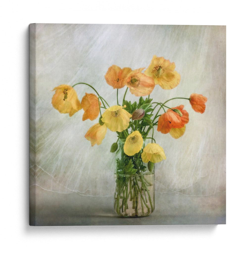 Suspiros de ámbar - Mandy Disher | Cuadro decorativo de Canvas Lab
