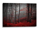Bosque rojo brumoso - Samanta Krivec | Cuadro decorativo de Canvas Lab