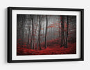 Bosque rojo brumoso - Samanta Krivec | Cuadro decorativo de Canvas Lab