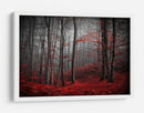 Bosque rojo brumoso - Samanta Krivec | Cuadro decorativo de Canvas Lab
