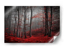 Bosque rojo brumoso - Samanta Krivec | Cuadro decorativo de Canvas Lab