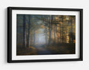 El sendero del bosque dorado - Norbert Maier | Cuadro decorativo de Canvas Lab