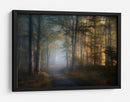 El sendero del bosque dorado - Norbert Maier | Cuadro decorativo de Canvas Lab