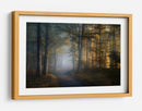 El sendero del bosque dorado - Norbert Maier | Cuadro decorativo de Canvas Lab