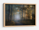 El sendero del bosque dorado - Norbert Maier | Cuadro decorativo de Canvas Lab