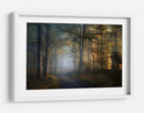 El sendero del bosque dorado - Norbert Maier | Cuadro decorativo de Canvas Lab