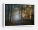 El sendero del bosque dorado - Norbert Maier | Cuadro decorativo de Canvas Lab