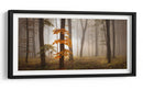 Bosque brumoso de otoño - Nicolas Schumacher | Cuadro decorativo de Canvas Lab