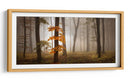 Bosque brumoso de otoño - Nicolas Schumacher | Cuadro decorativo de Canvas Lab