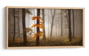 Bosque brumoso de otoño - Nicolas Schumacher | Cuadro decorativo de Canvas Lab