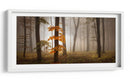 Bosque brumoso de otoño - Nicolas Schumacher | Cuadro decorativo de Canvas Lab