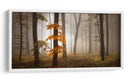 Bosque brumoso de otoño - Nicolas Schumacher | Cuadro decorativo de Canvas Lab