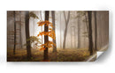 Bosque brumoso de otoño - Nicolas Schumacher | Cuadro decorativo de Canvas Lab
