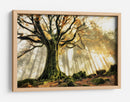Rayos de sol en el bosque brumoso - Christophe Kiciak | Cuadro decorativo de Canvas Lab