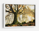 Rayos de sol en el bosque brumoso - Christophe Kiciak | Cuadro decorativo de Canvas Lab