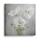 Encanto cósmico - Mandy Disher | Cuadro decorativo de Canvas Lab