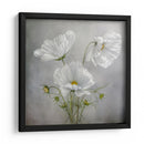 Encanto cósmico - Mandy Disher | Cuadro decorativo de Canvas Lab