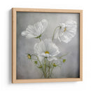Encanto cósmico - Mandy Disher | Cuadro decorativo de Canvas Lab