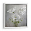 Encanto cósmico - Mandy Disher | Cuadro decorativo de Canvas Lab