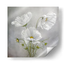 Encanto cósmico - Mandy Disher | Cuadro decorativo de Canvas Lab