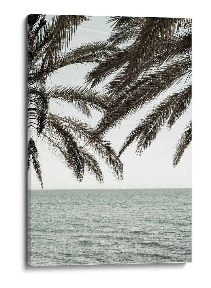 Palmeras del océano tropical - Fluidys Studio III | Cuadro decorativo de Canvas Lab