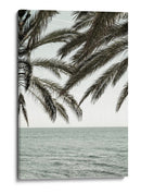 Palmeras del océano tropical - Fluidys Studio III | Cuadro decorativo de Canvas Lab