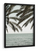 Palmeras del océano tropical - Fluidys Studio III | Cuadro decorativo de Canvas Lab