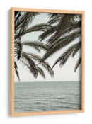 Palmeras del océano tropical - Fluidys Studio III | Cuadro decorativo de Canvas Lab