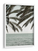 Palmeras del océano tropical - Fluidys Studio III | Cuadro decorativo de Canvas Lab