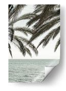 Palmeras del océano tropical - Fluidys Studio III | Cuadro decorativo de Canvas Lab