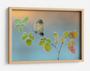 Un pajarito sobre hojas escarchadas - Andres Miguel Dominguez | Cuadro decorativo de Canvas Lab