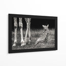 Descanso tranquilo de la jirafa bebé - Andreas Feldtkeller | Cuadro decorativo de Canvas Lab