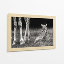 Descanso tranquilo de la jirafa bebé - Andreas Feldtkeller | Cuadro decorativo de Canvas Lab