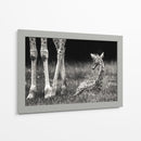 Descanso tranquilo de la jirafa bebé - Andreas Feldtkeller | Cuadro decorativo de Canvas Lab