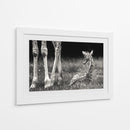 Descanso tranquilo de la jirafa bebé - Andreas Feldtkeller | Cuadro decorativo de Canvas Lab