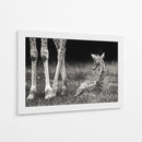 Descanso tranquilo de la jirafa bebé - Andreas Feldtkeller | Cuadro decorativo de Canvas Lab