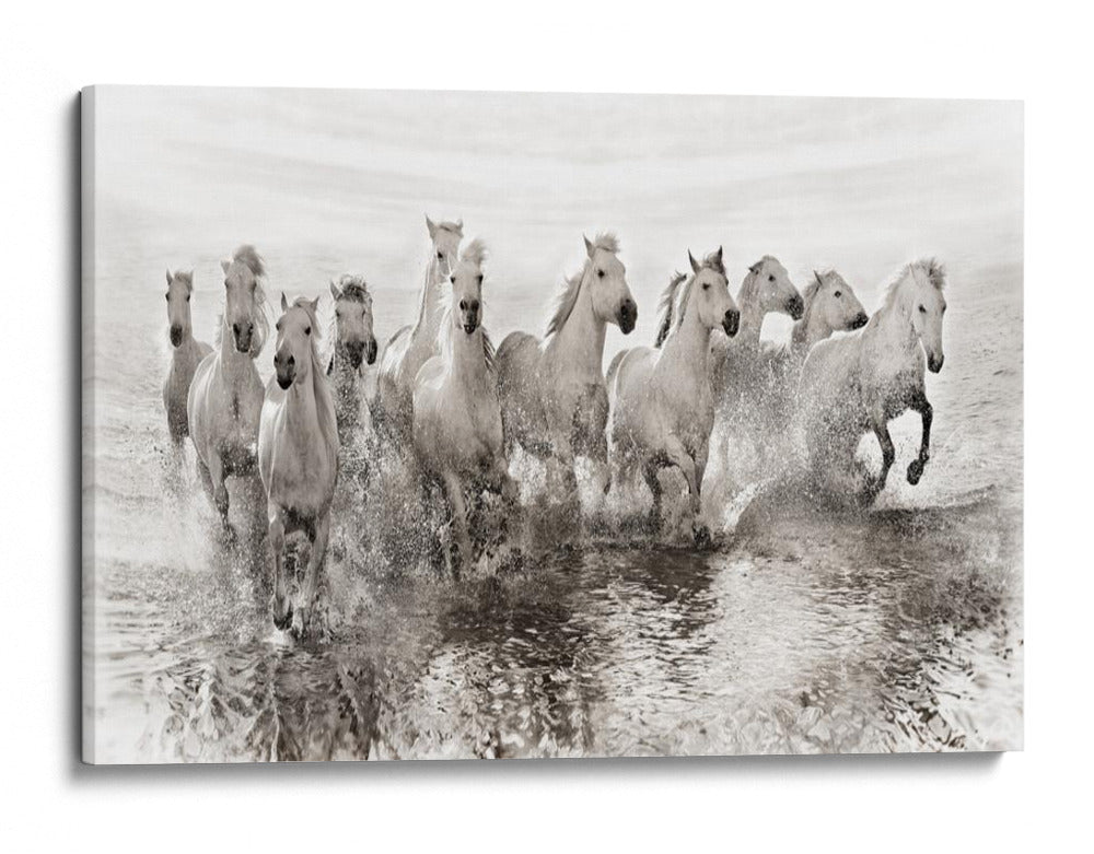Caballos blancos en las aguas corrientes - Roman Golubenko | Cuadro decorativo de Canvas Lab