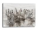 Caballos blancos en las aguas corrientes - Roman Golubenko | Cuadro decorativo de Canvas Lab