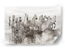 Caballos blancos en las aguas corrientes - Roman Golubenko | Cuadro decorativo de Canvas Lab