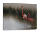 Flamencos en aguas tranquilas - Anna Cseresnjes | Cuadro decorativo de Canvas Lab