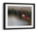 Flamencos en aguas tranquilas - Anna Cseresnjes | Cuadro decorativo de Canvas Lab
