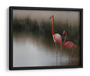 Flamencos en aguas tranquilas - Anna Cseresnjes | Cuadro decorativo de Canvas Lab