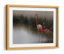 Flamencos en aguas tranquilas - Anna Cseresnjes | Cuadro decorativo de Canvas Lab