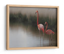Flamencos en aguas tranquilas - Anna Cseresnjes | Cuadro decorativo de Canvas Lab
