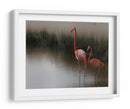 Flamencos en aguas tranquilas - Anna Cseresnjes | Cuadro decorativo de Canvas Lab