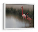 Flamencos en aguas tranquilas - Anna Cseresnjes | Cuadro decorativo de Canvas Lab