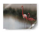 Flamencos en aguas tranquilas - Anna Cseresnjes | Cuadro decorativo de Canvas Lab